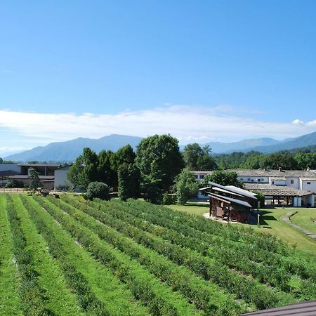 Agriturismo Il Frutto Permesso Bibiana Exterior photo